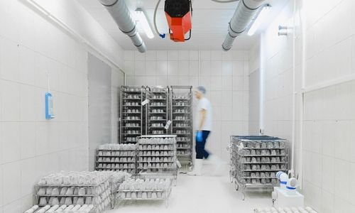 How to Choose the Right Industrial Refrigeration System for Your Facility
